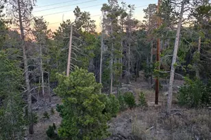 87 Circle Rd, Golden, CO 80403 - Photo 13