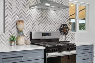 3227 S Grape St, Denver, CO 80222 - Photo 9