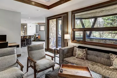 106 N Gold Flake Terrace, Breckenridge, CO 80424 - Photo 29