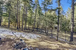 28575 Cragmont Dr, Evergreen, CO 80439 - Photo 27