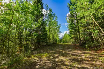 1238 Quartzville, Alma, CO 80420 - Photo 13