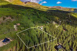 1238 Quartzville, Alma, CO 80420 - Photo 1