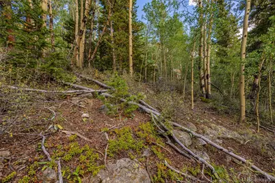 1238 Quartzville, Alma, CO 80420 - Photo 35