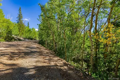 1238 Quartzville, Alma, CO 80420 - Photo 9
