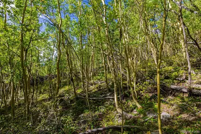 1238 Quartzville, Alma, CO 80420 - Photo 23