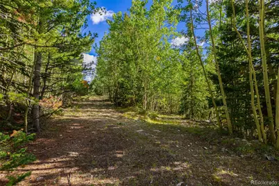 1238 Quartzville, Alma, CO 80420 - Photo 15