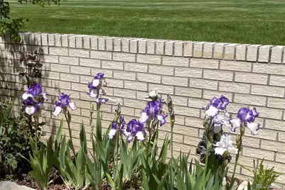 7237 W 83rd Way, Arvada, CO 80003 - Photo 33