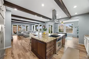 10466 Marigold Ct, Highlands Ranch, CO 80126 - Photo 9