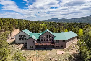 252 Running Elk Point, Divide, CO 80814 - Photo 1