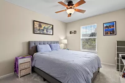 546 Lost Valley Point, Castle Rock, CO 80108 - Photo 19