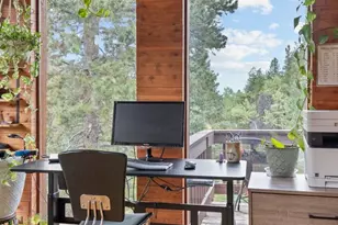 54 Old Little Bear Creek Rd, Idaho Springs, CO 80452 - Photo 17