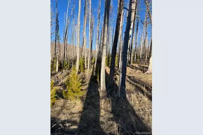 Lot 1502 Vonheyl Lane, Fort Garland, CO 81133 - Photo 13