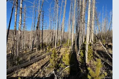 Lot 1502 Vonheyl Lane, Fort Garland, CO 81133 - Photo 1