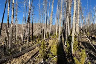 Lot 1502 Vonheyl Ln, Fort Garland, CO 81133 - Photo 1