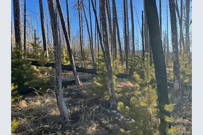 Lot 1502 Vonheyl Lane, Fort Garland, CO 81133 - Photo 15