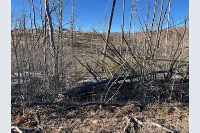 Lot 1502 Vonheyl Lane, Fort Garland, CO 81133 - Photo 3