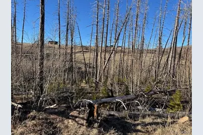 Lot 1502 Vonheyl Lane, Fort Garland, CO 81133 - Photo 7