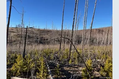 Lot 1502 Vonheyl Lane, Fort Garland, CO 81133 - Photo 5