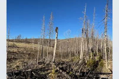 Lot 1502 Vonheyl Lane, Fort Garland, CO 81133 - Photo 9