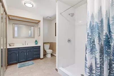 27569 Fireweed Drive, Evergreen, CO 80439 - Photo 33