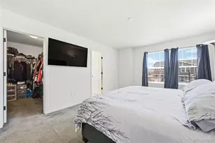 3594 Happyheart Way, Castle Rock, CO 80109 - Photo 21