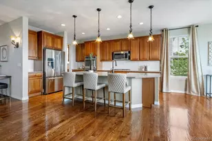 678 Eveningsong Dr, Castle Rock, CO 80104 - Photo 9