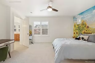 1868 La Bellezza Grove, Colorado Springs, CO 80919 - Photo 19