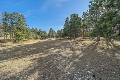 29793 Paint Brush Drive, Evergreen, CO 80439 - Photo 41