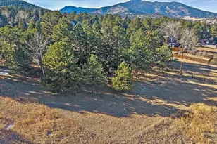 29793 Paint Brush Dr, Evergreen, CO 80439 - Photo 43