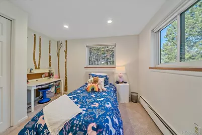 29793 Paint Brush Drive, Evergreen, CO 80439 - Photo 29