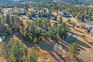 29793 Paint Brush Dr, Evergreen, CO 80439 - Photo 45