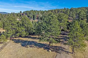 29793 Paint Brush Dr, Evergreen, CO 80439 - Photo 37