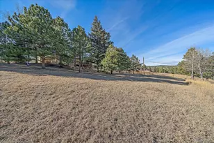 29793 Paint Brush Dr, Evergreen, CO 80439 - Photo 3