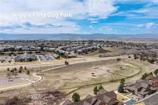 3522 Nez Perce Trail, Castle Rock, CO 80109 - Photo 31