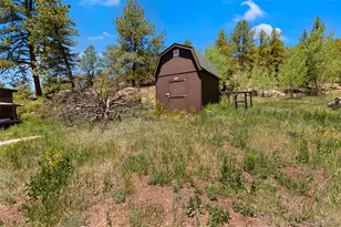 185 Canyon Dr, Florissant, CO 80816 - Photo 29