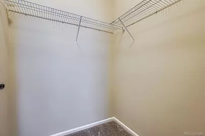 6420 Agave Avenue, Castle Rock, CO 80108 - Photo 23