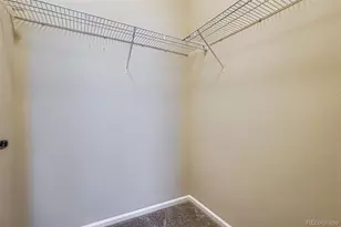 6420 Agave Ave, Castle Rock, CO 80108 - Photo 23