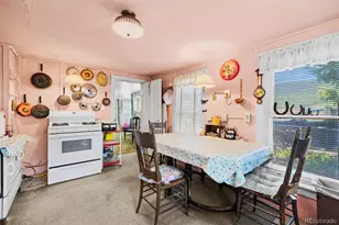 137 N Pine St, Alma, CO 80420 - Photo 17