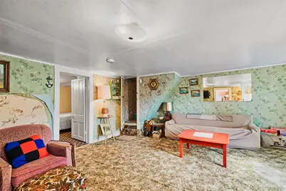 137 N Pine Street, Alma, CO 80420 - Photo 13