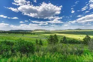 15533 S Perry Park Rd, Larkspur, CO 80133 - Photo 5