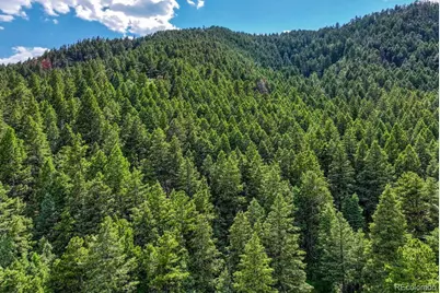 15533 S Perry Park Road, Larkspur, CO 80133 - Photo 9