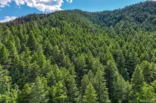 15533 S Perry Park Rd, Larkspur, CO 80133 - Photo 9