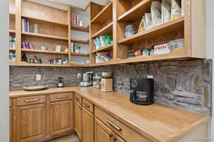 15533 S Perry Park Rd, Larkspur, CO 80133 - Photo 23
