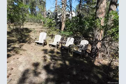 773 Copper Fox Place, Larkspur, CO 80118 - Photo 35