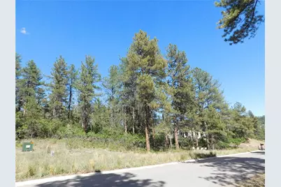 773 Copper Fox Place, Larkspur, CO 80118 - Photo 3