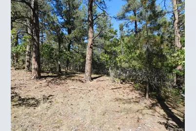773 Copper Fox Place, Larkspur, CO 80118 - Photo 15