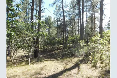 773 Copper Fox Place, Larkspur, CO 80118 - Photo 43