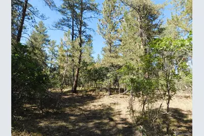 773 Copper Fox Place, Larkspur, CO 80118 - Photo 37