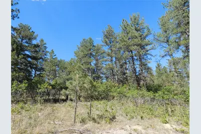 773 Copper Fox Place, Larkspur, CO 80118 - Photo 47