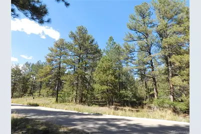 773 Copper Fox Place, Larkspur, CO 80118 - Photo 9